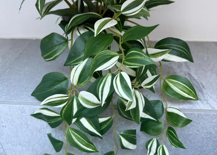 Apartment Loren House *