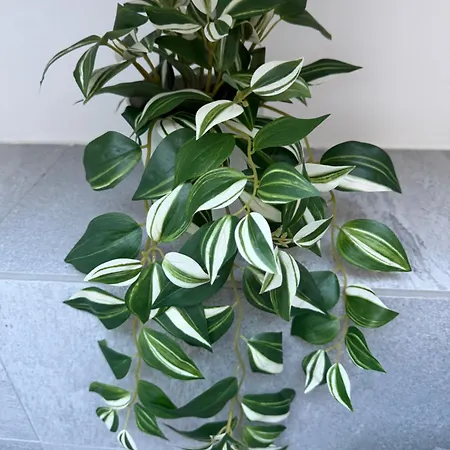 Apartamento Loren House *